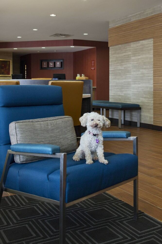 Aparthotel Towneplace Suites By Marriott Austin Round Rock