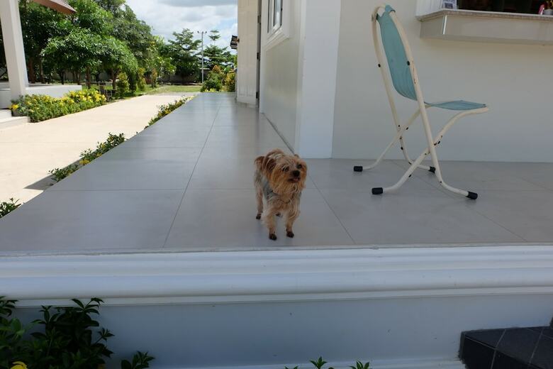 Hotel Bualuang Boutique Resort
