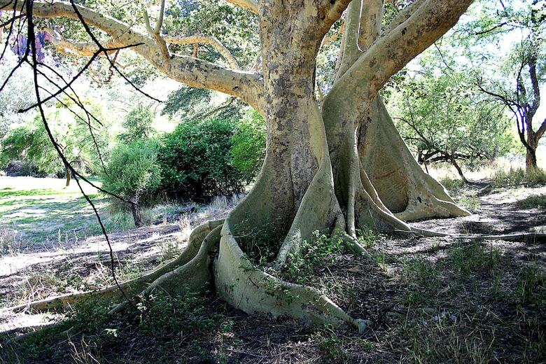 Posada Waterberg Wilderness