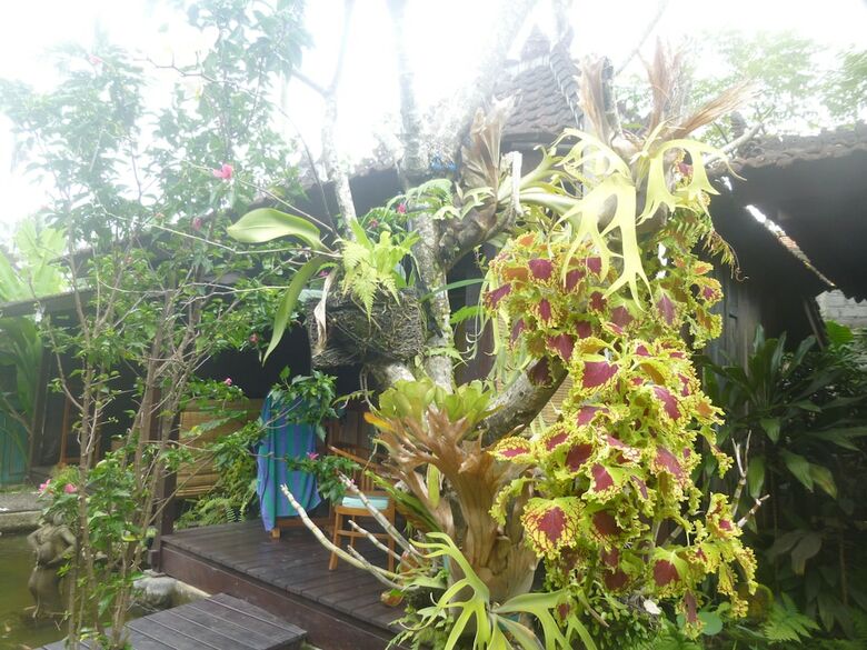 Hotel Joglo Taman Sari Villa