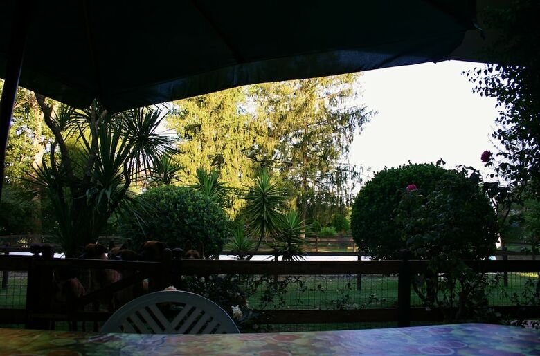 Green Oasis B&B