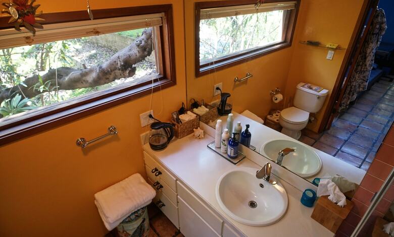 Bed & Breakfast The Bel Air Treehouse