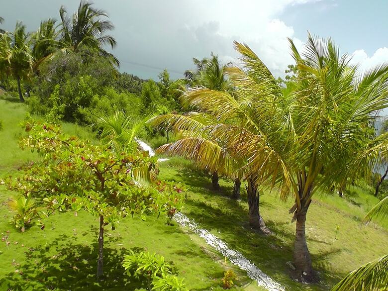 Bed & Breakfast Suites La Colline