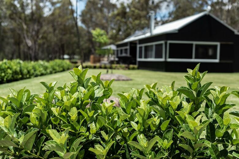 Bed & Breakfast The Woods At Pokolbin