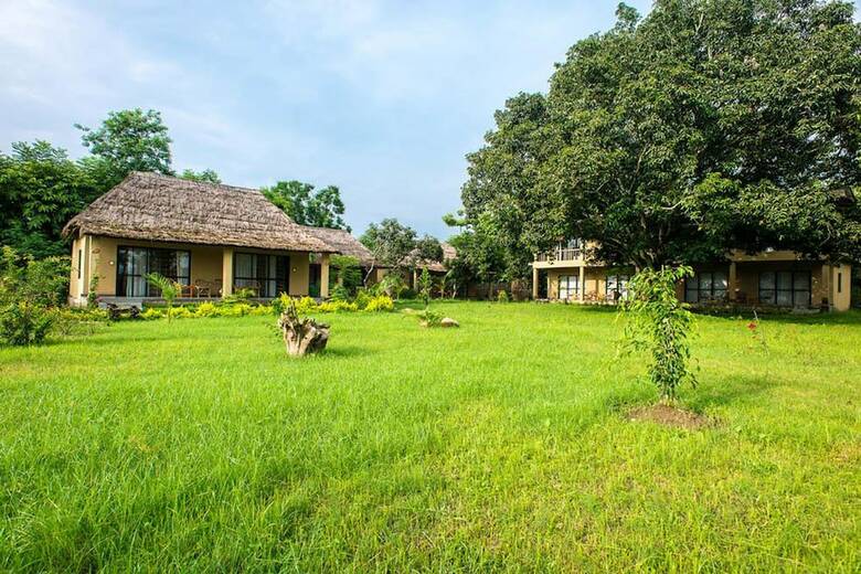 Hotel Into The Wild Eco Resort