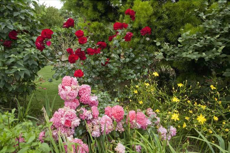Highgate Bed And Breakfast & Garden