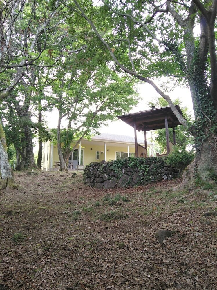 Guests & Dogs House Hale Ilio