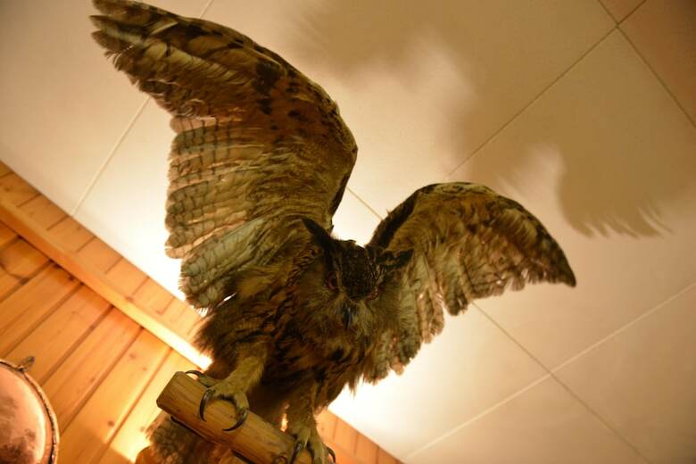 Hotel Albergo Gufo