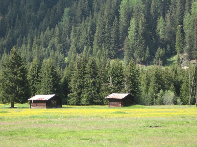 Apartamento Residence Chalet Bucaneve