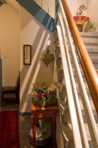 Frida's Hotel