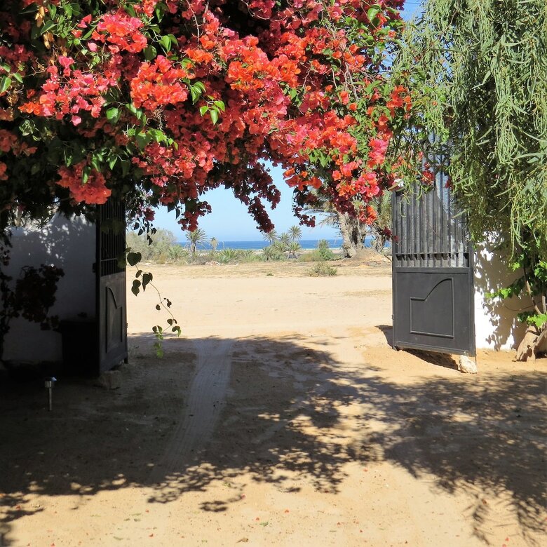 Hotel La Palmeraie