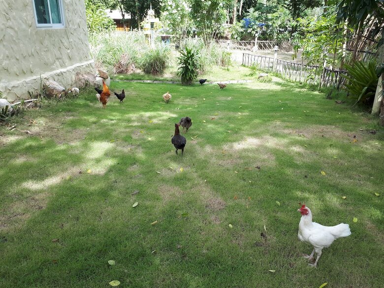 Hotel Baansongkhata