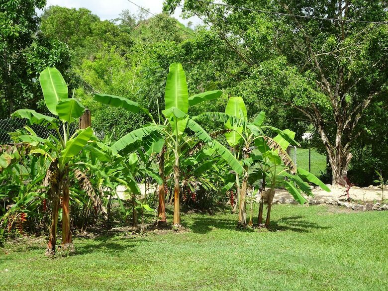 Posada Maya Hill Lodge