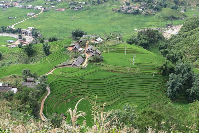 Hotel Little View Homestay