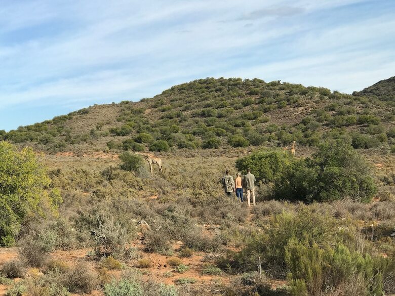 Hotel Rooiberg Safaris