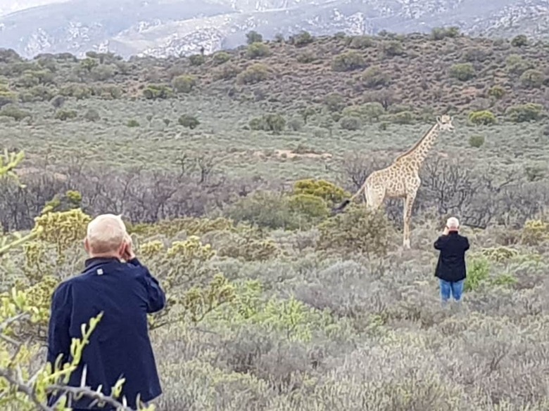 Hotel Rooiberg Safaris