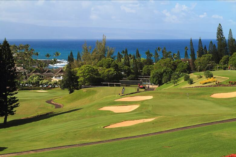 Kapalua Golf Villa 11t4 Ocean View - 2 Br Villa