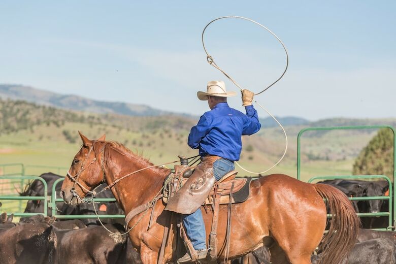 Bed & Breakfast Wilson Ranches Retreat