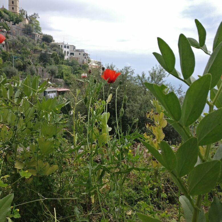 Bed & Breakfast Il Pertuso
