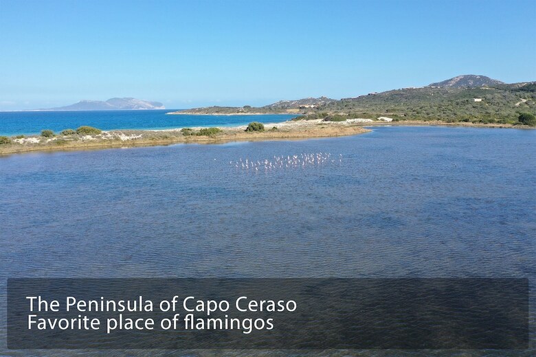 Apartamento Capo Ceraso Family Residence