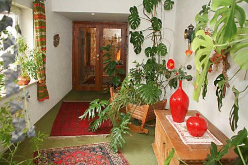 Hostal Landgasthof Groh