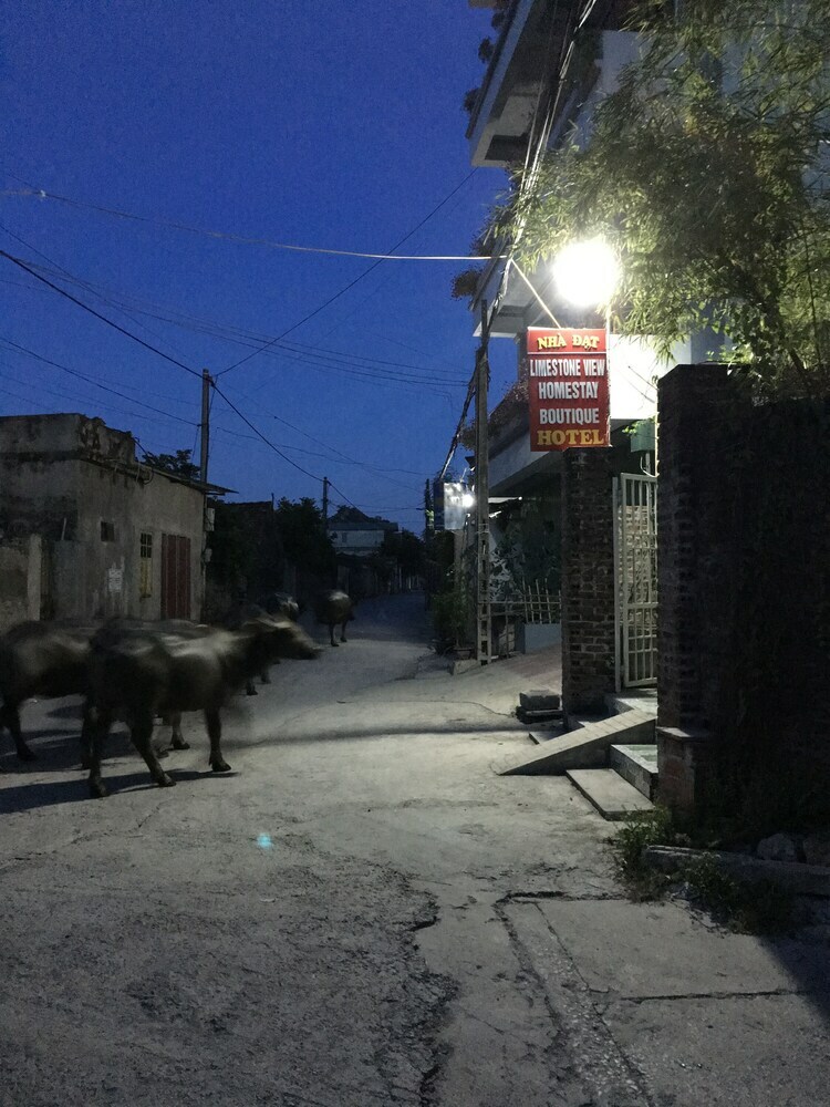 Hotel Limestone View Homestay