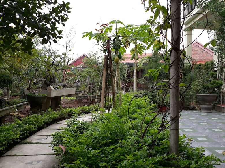 Hotel An Phu Homestay