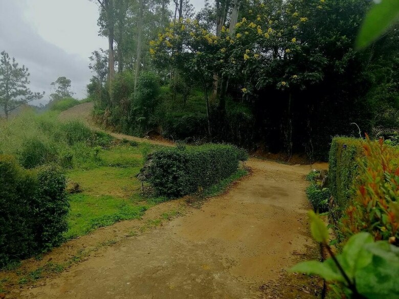 Ella Hotel Upper Hill