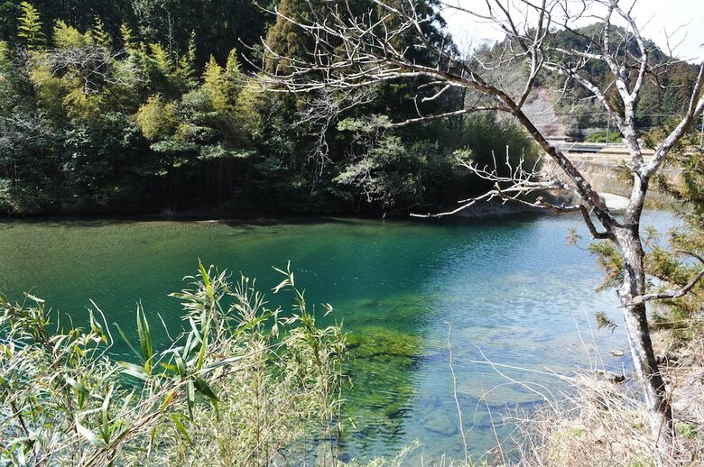 Hotel Nature Resort In Shimanto