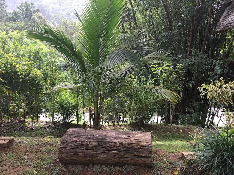 Hotel Thipthara Adventure Camp