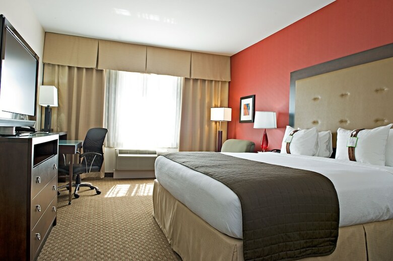 Hotel Holiday Inn Dfw South