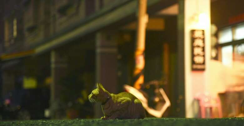Hotel 16 Alley Hostel