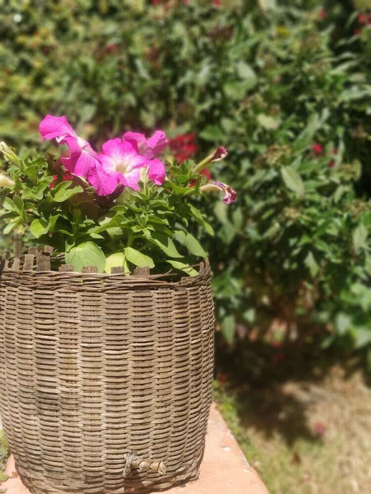 Bed & Breakfast Hillock Villa