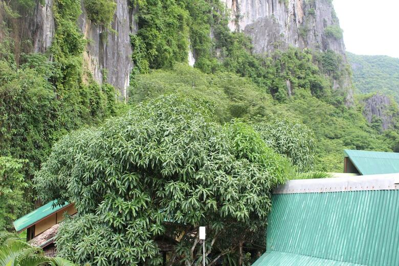 Hotel Cliffside Cottages