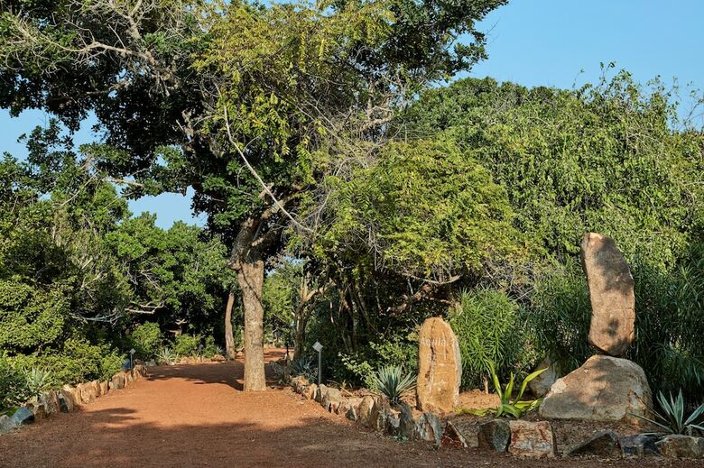 Wild Coast Tented Lodge - All Inclusive