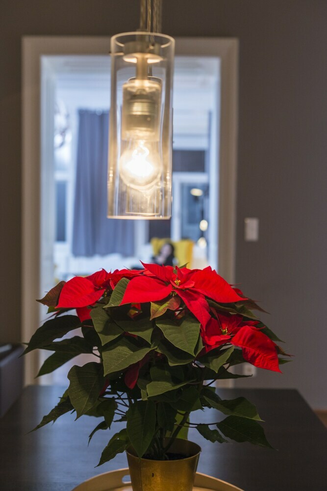 Apartamentos Senator Suite Stephansplatz By Welcome2vienna