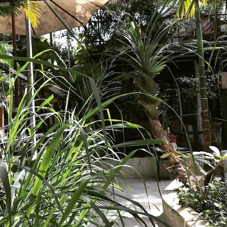 Hotel The Fish Phu Quoc