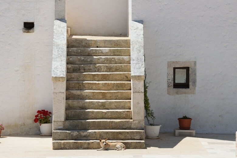Hotel Masseria Calandrella