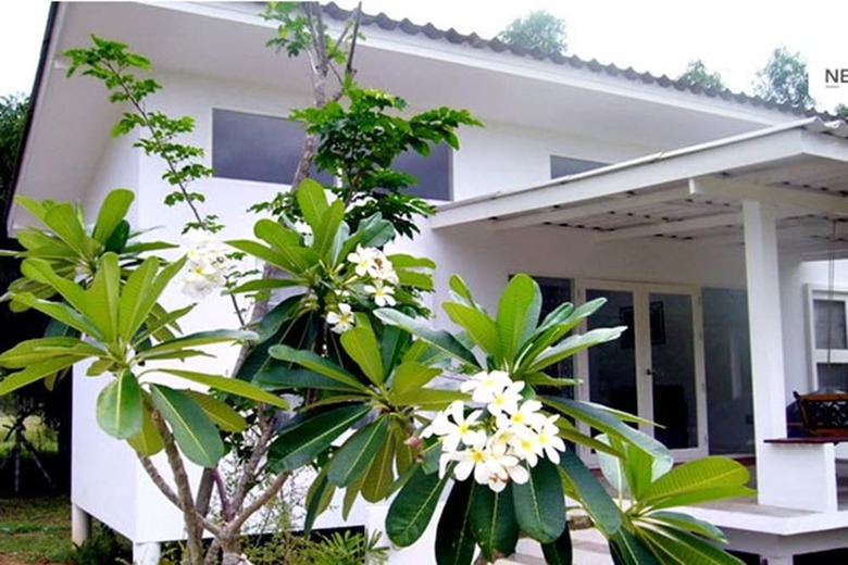 Hotel White At Sea Resort