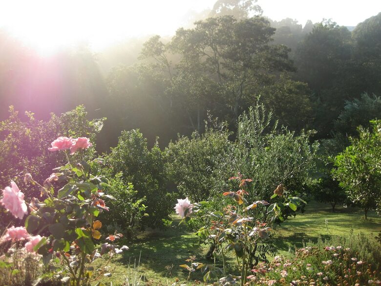 Valley View Bed & Breakfast