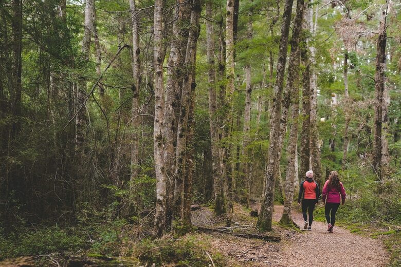 Hostal Fiordland National Park Lodge