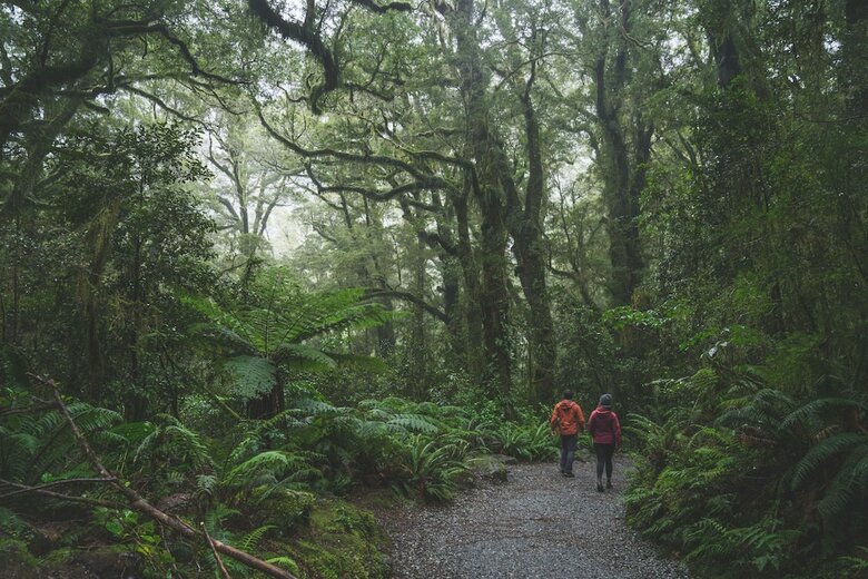 Hostal Fiordland National Park Lodge