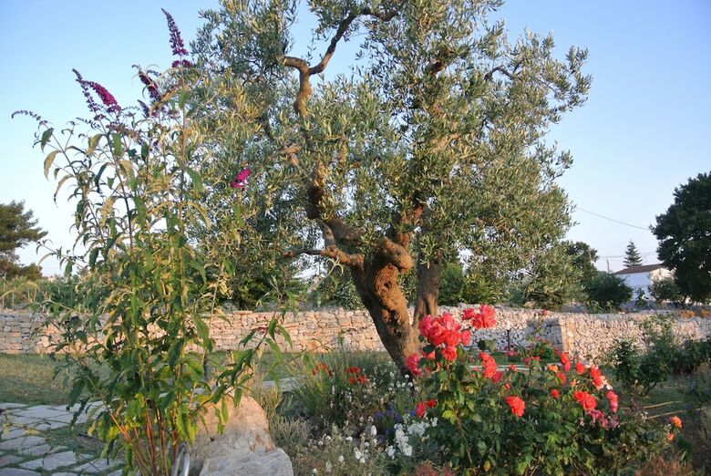 Apartamento Trulli Paparale