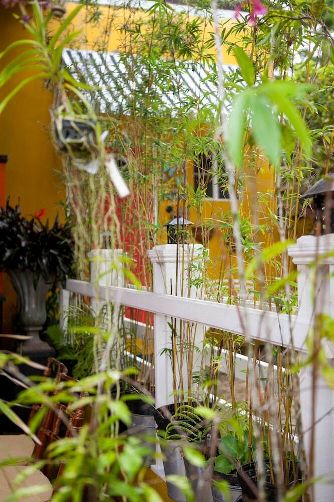 Bed & Breakfast Casa Da Buena Vista