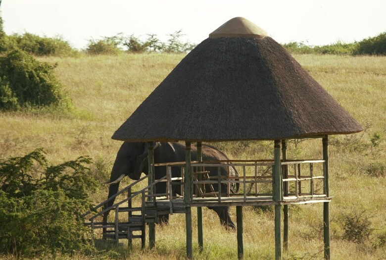 Posada Kasenyi Safari Camp