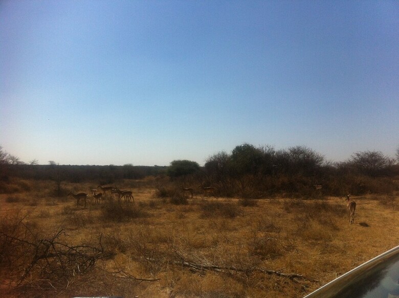 Posada Khama Rhino Sanctuary