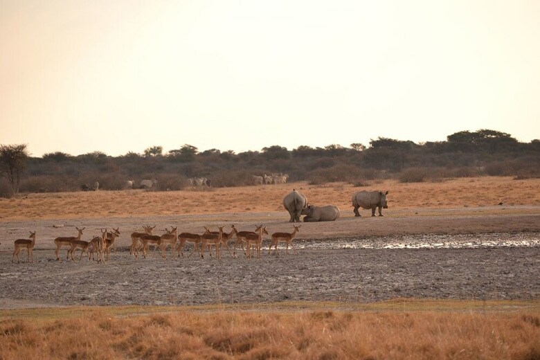 Posada Khama Rhino Sanctuary