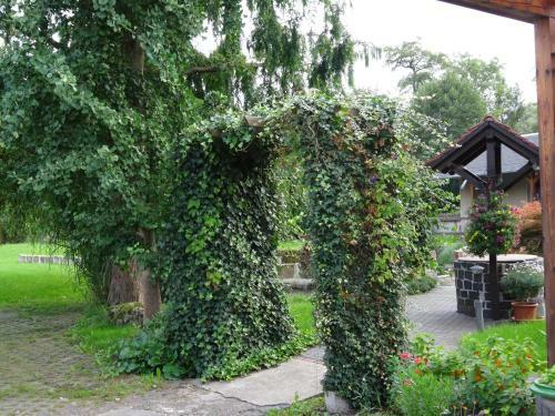 Hostal Pension Ilmhof