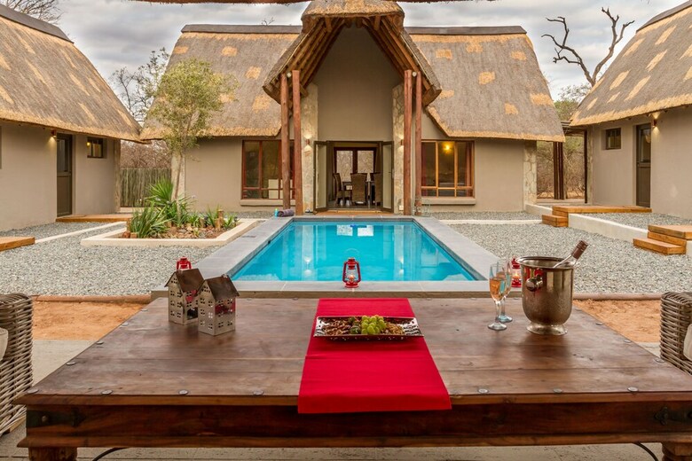 The Safarilicious Collection