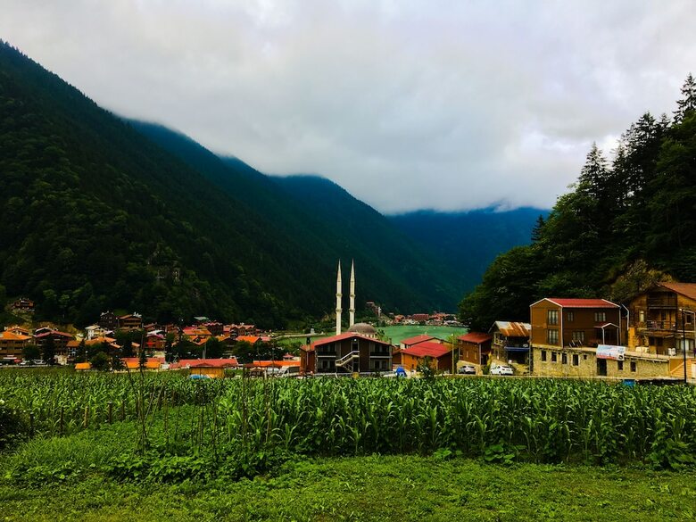 Selman Apart Hotel